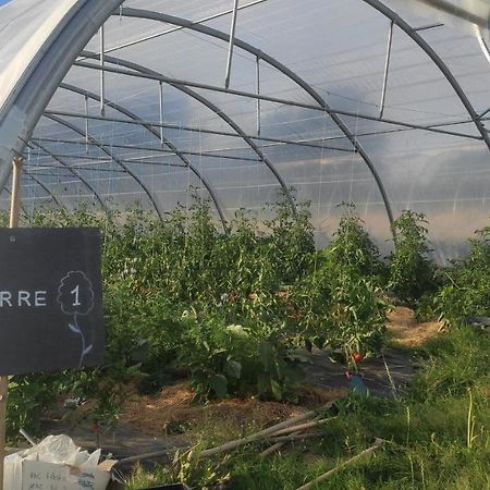 Eco-Gite A La Ferme D'Elles Saint-Andre-de-l'Epine Exterior foto